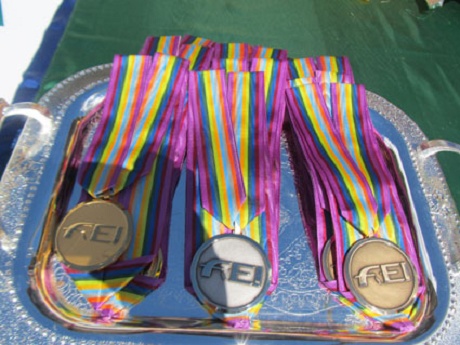 Brasil confirma favoritismo e vence por equipe o Campeonato Americano das categorias Children, Junior e Pr�-Junior em Passo Fundo (BRA)